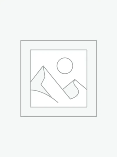 Uncategorized